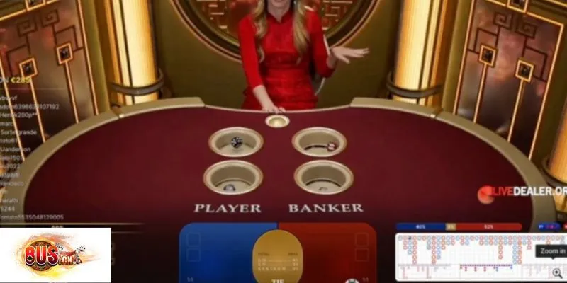Chơi Bacbo tại 8US – Giao diện hiện đại, livestream 24/7