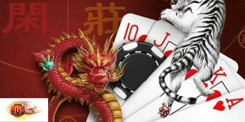 Tận dụng chuỗi kết quả để tăng tỷ lệ thắng Rồng Hổ tại 8US